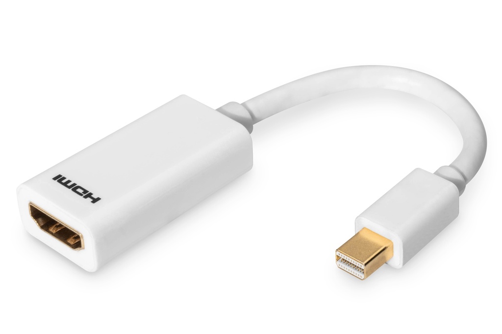 Mini Display port Adapter