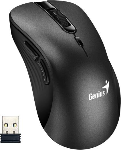 Genius Mouse Ergo 8100S Wireless Ergonomic Silent Mouse (Black)